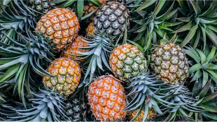 30-foods-high-in-water-that-can-help-prevent-dehydration - pineapple