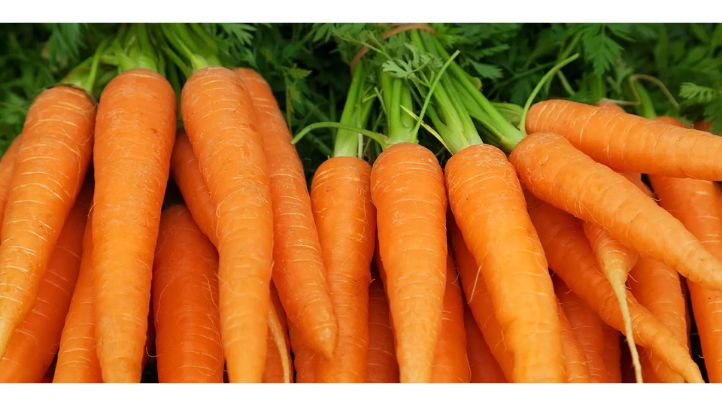 30-foods-high-in-water-that-can-help-prevent-dehydration - carrots