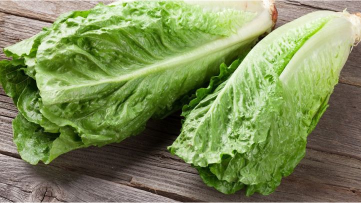 30-foods-high-in-water-that-can-help-prevent-dehydration - lettuce