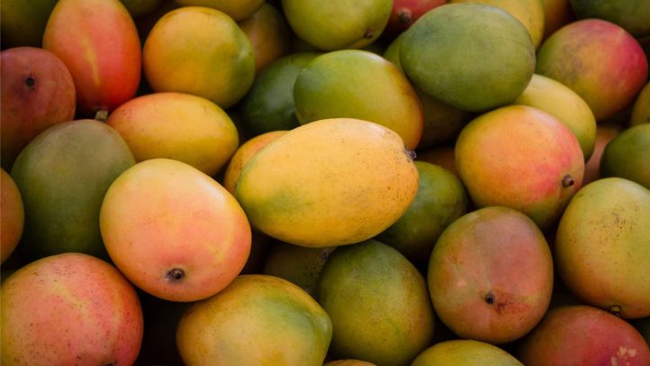 30-foods-high-in-water-that-can-help-prevent-dehydration - mangoes