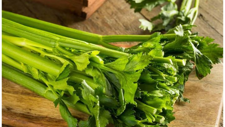 30-foods-high-in-water-that-can-help-prevent-dehydration - celery